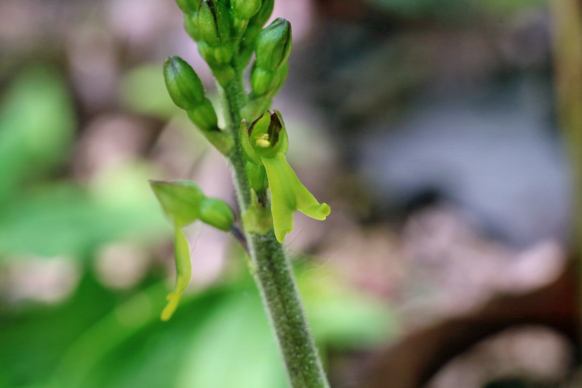 IMG-2016-05-08-00014629p_Bildgr��e �ndern