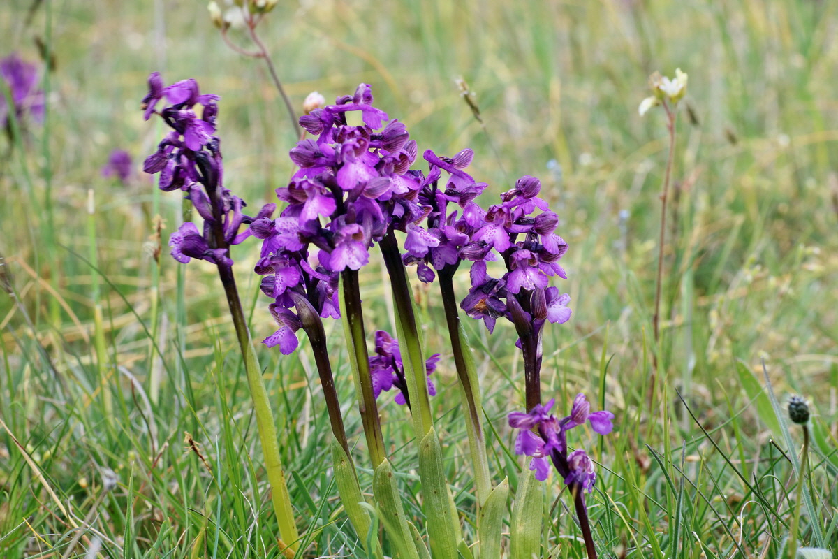 IMG-2016-05-08-00014634p_Bildgr��e �ndern