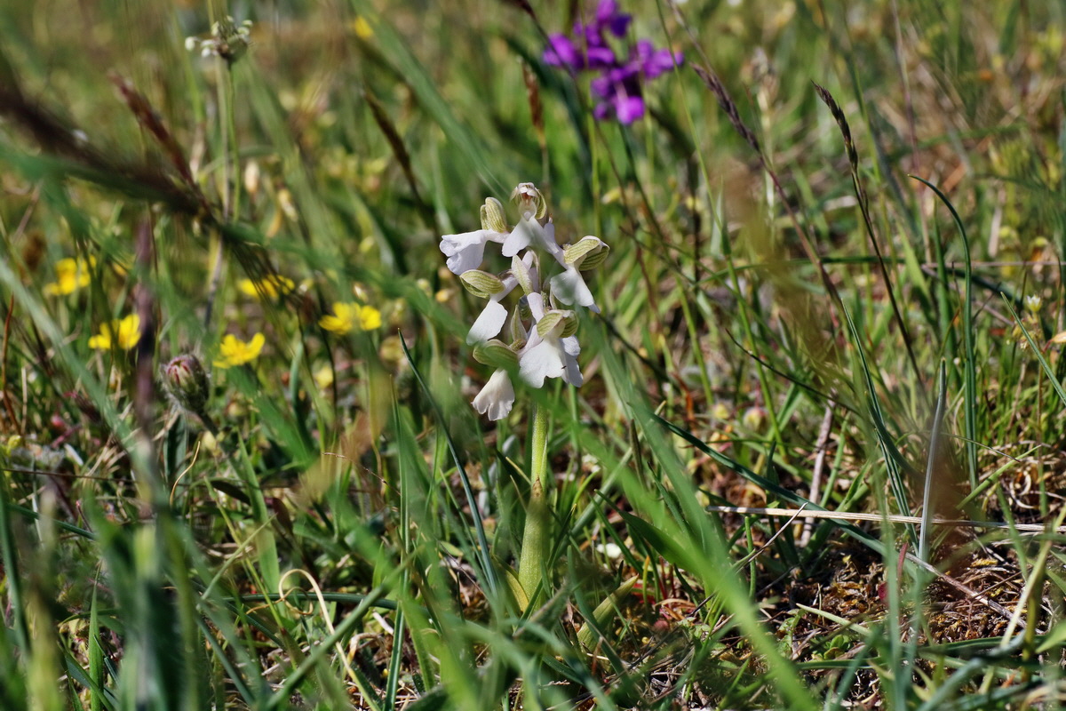 IMG-2016-05-08-00014635p_Bildgr��e �ndern