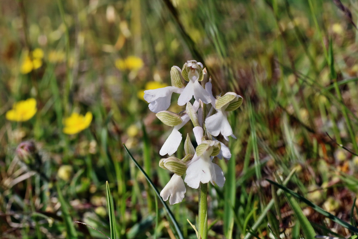 IMG-2016-05-08-00014637p_Bildgr��e �ndern