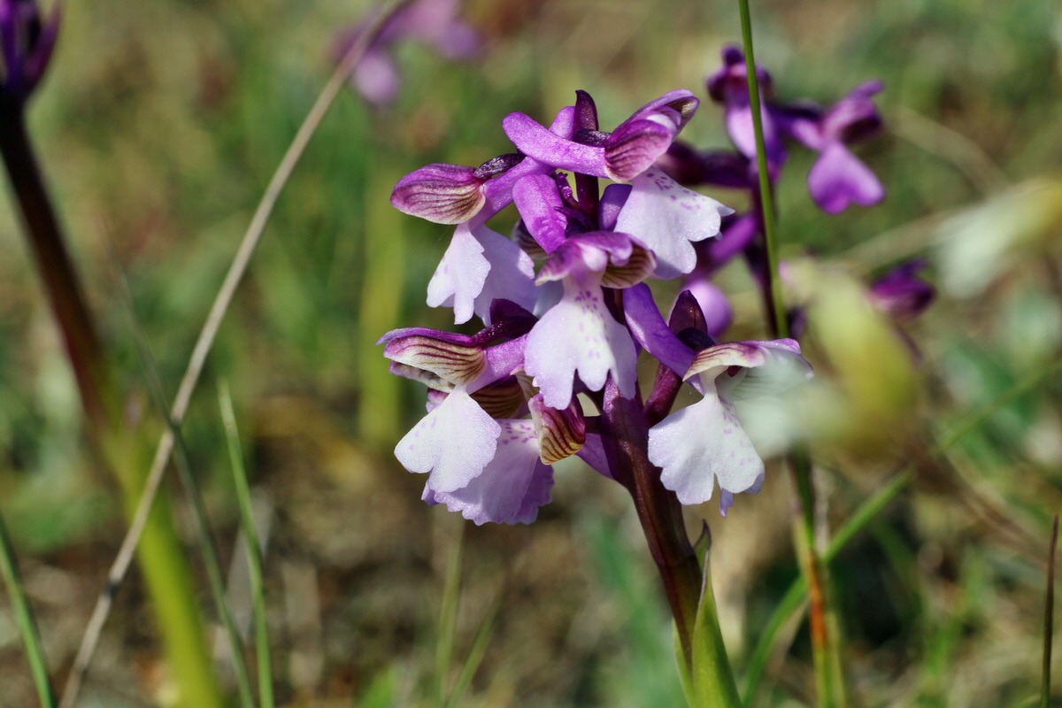 IMG-2016-05-08-00014639p_Bildgr��e �ndern