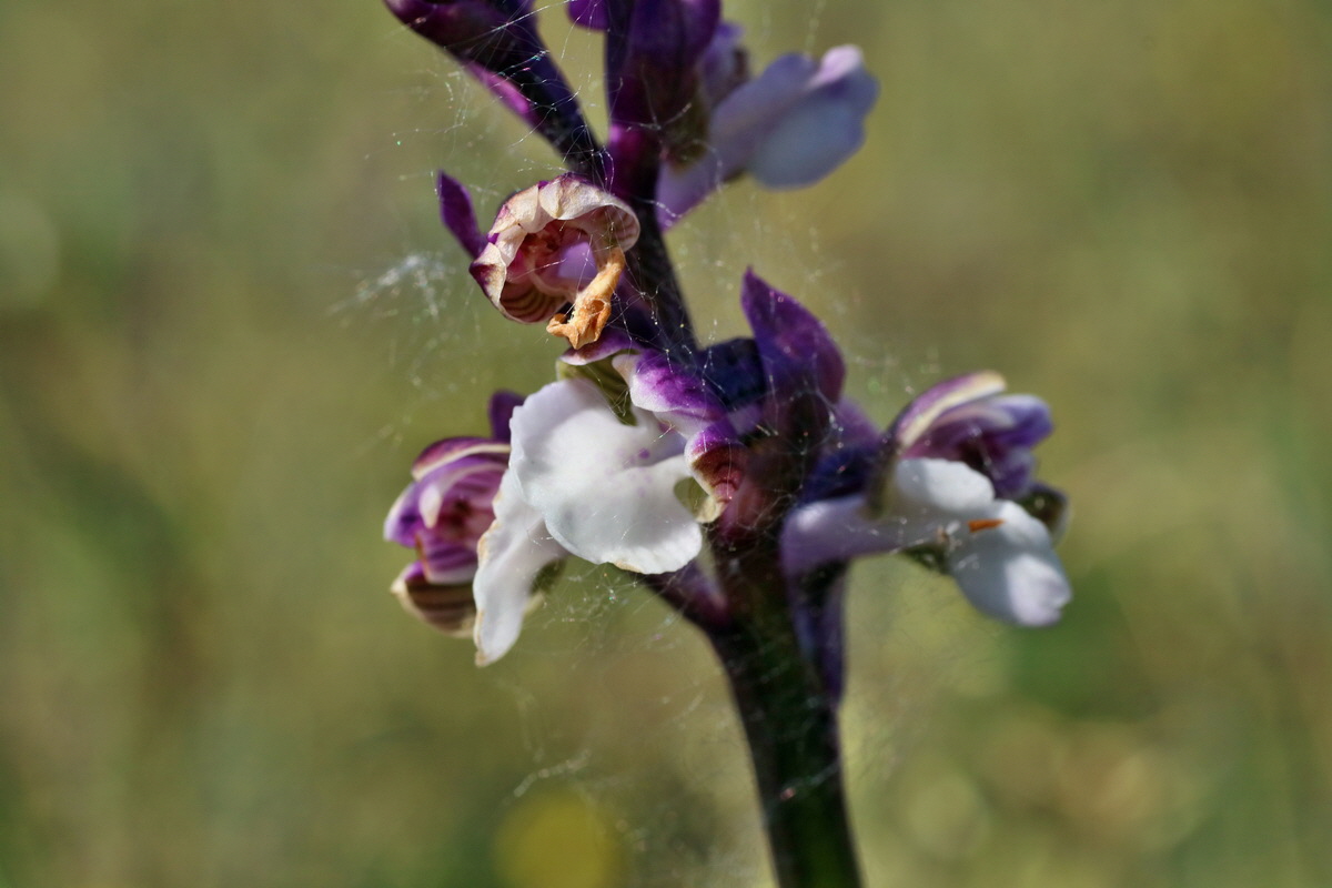 IMG-2016-05-08-00014659p_Bildgr��e �ndern