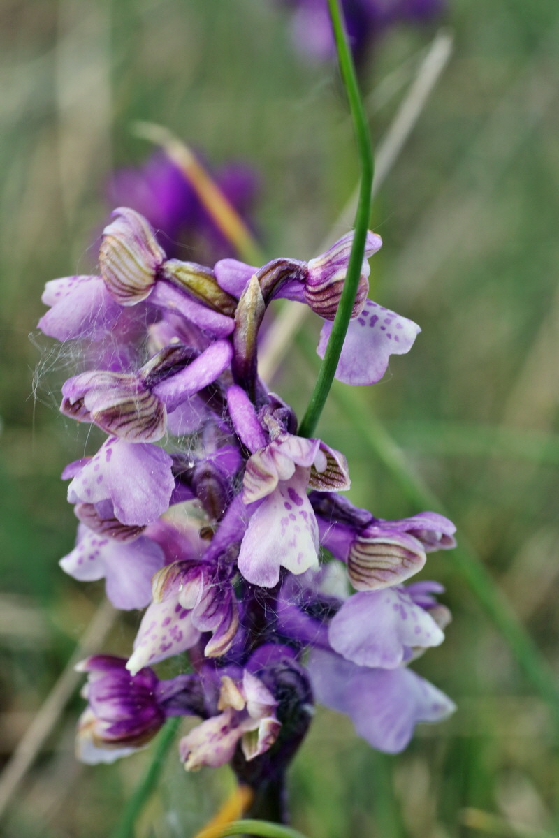 IMG-2016-05-08-00014680p_Bildgr��e �ndern