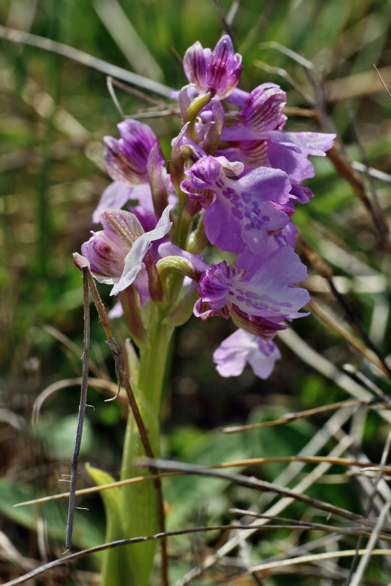 IMG-2016-05-08-00014686p_Bildgr��e �ndern