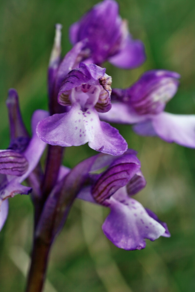 IMG-2016-05-08-00014689p_Bildgr��e �ndern