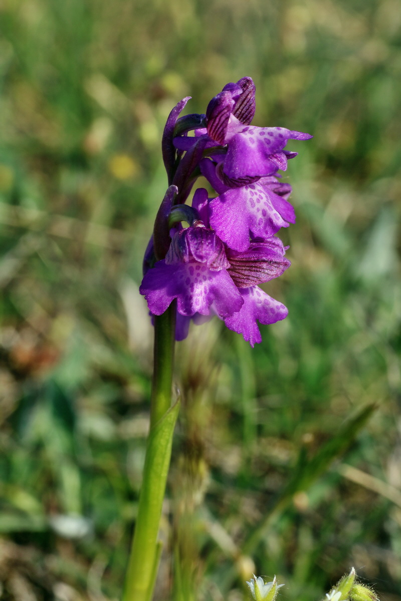 IMG-2016-05-08-00014692p_Bildgr��e �ndern