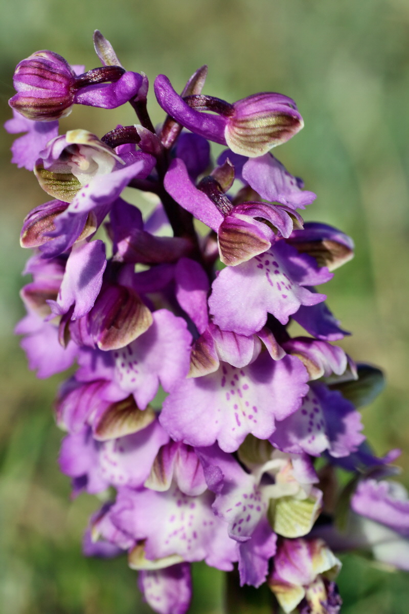 IMG-2016-05-08-00014699p_Bildgr��e �ndern