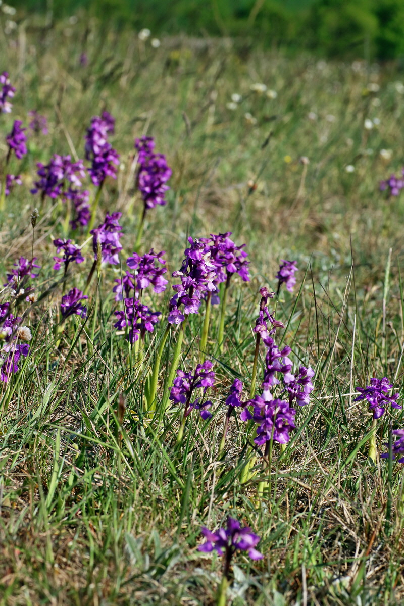 IMG-2016-05-08-00014707p_Bildgr��e �ndern