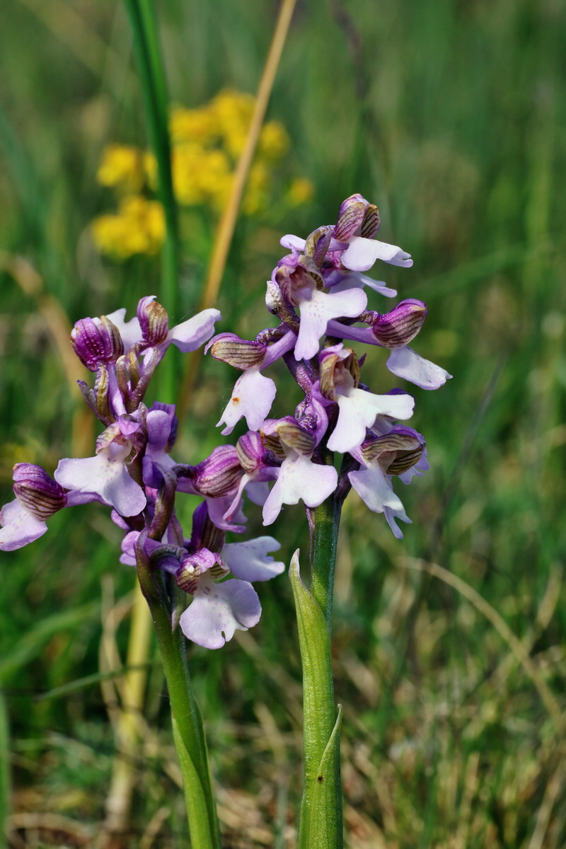 IMG-2016-05-08-00014722p_Bildgr��e �ndern