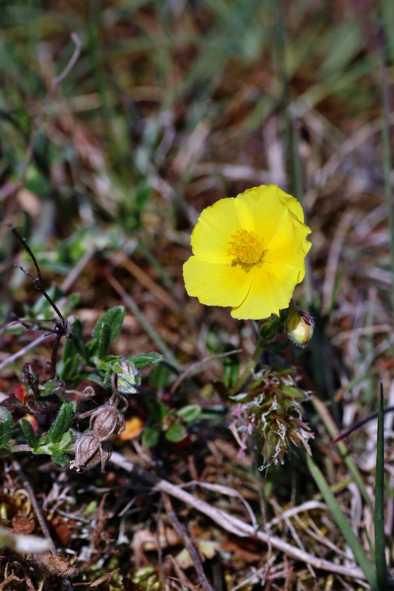 IMG-2016-05-08-00014731p_Bildgr��e �ndern