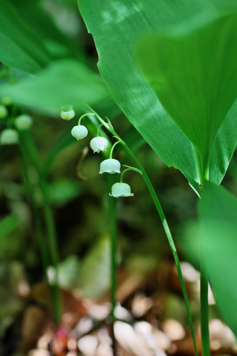 IMG-2016-05-10-00014745p_Bildgr��e �ndern