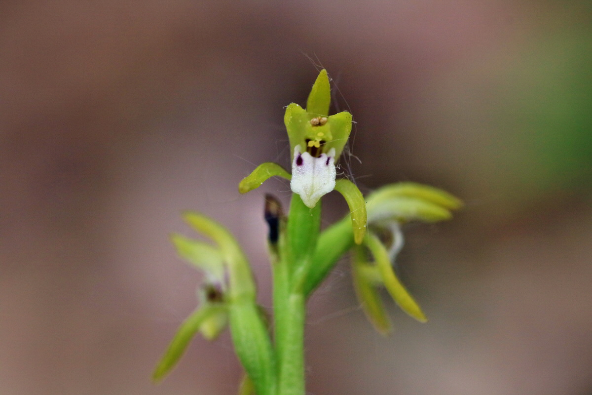 IMG-2016-05-10-00014762p_Bildgr��e �ndern