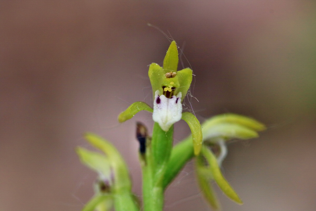 IMG-2016-05-10-00014769p_Bildgr��e �ndern