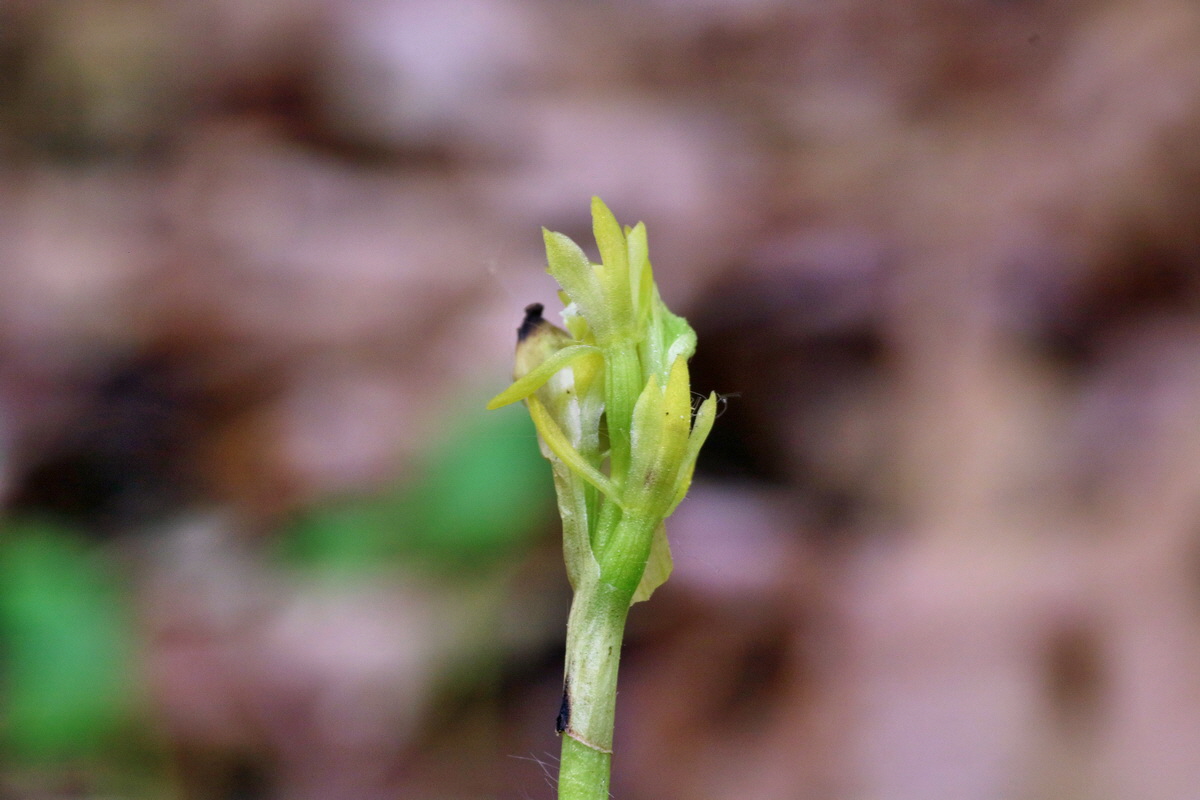 IMG-2016-05-10-00014776p_Bildgr��e �ndern