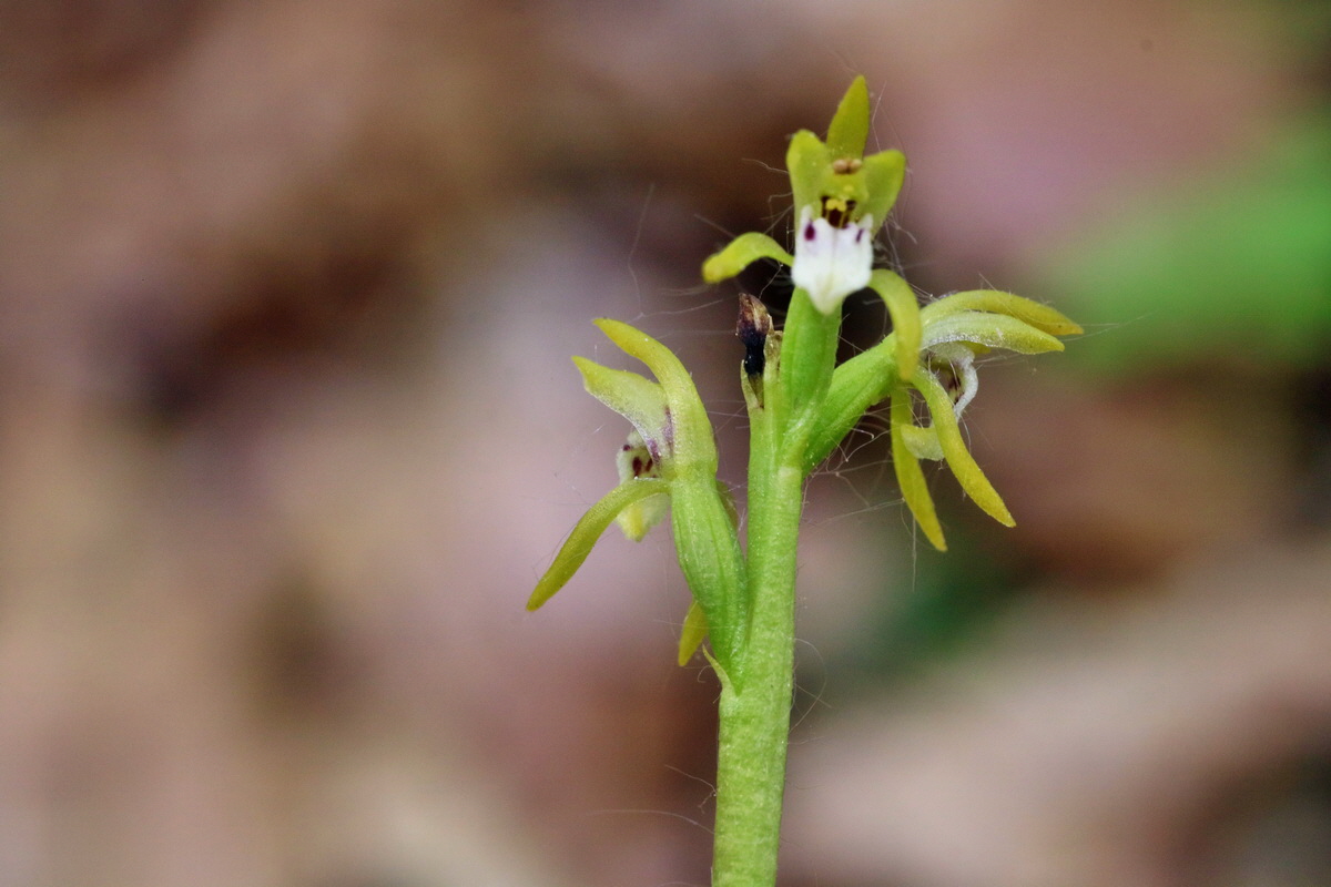 IMG-2016-05-10-00014781p_Bildgr��e �ndern