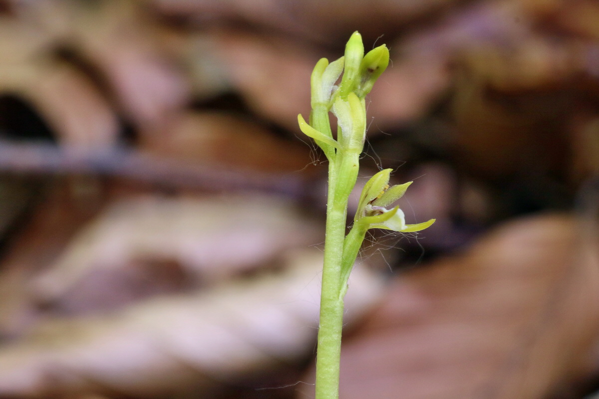 IMG-2016-05-10-00014786p_Bildgr��e �ndern