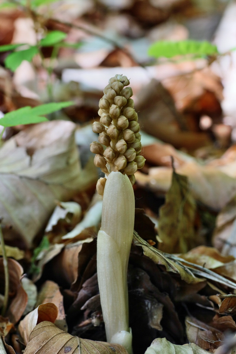 IMG-2016-05-10-00014793p_Bildgr��e �ndern