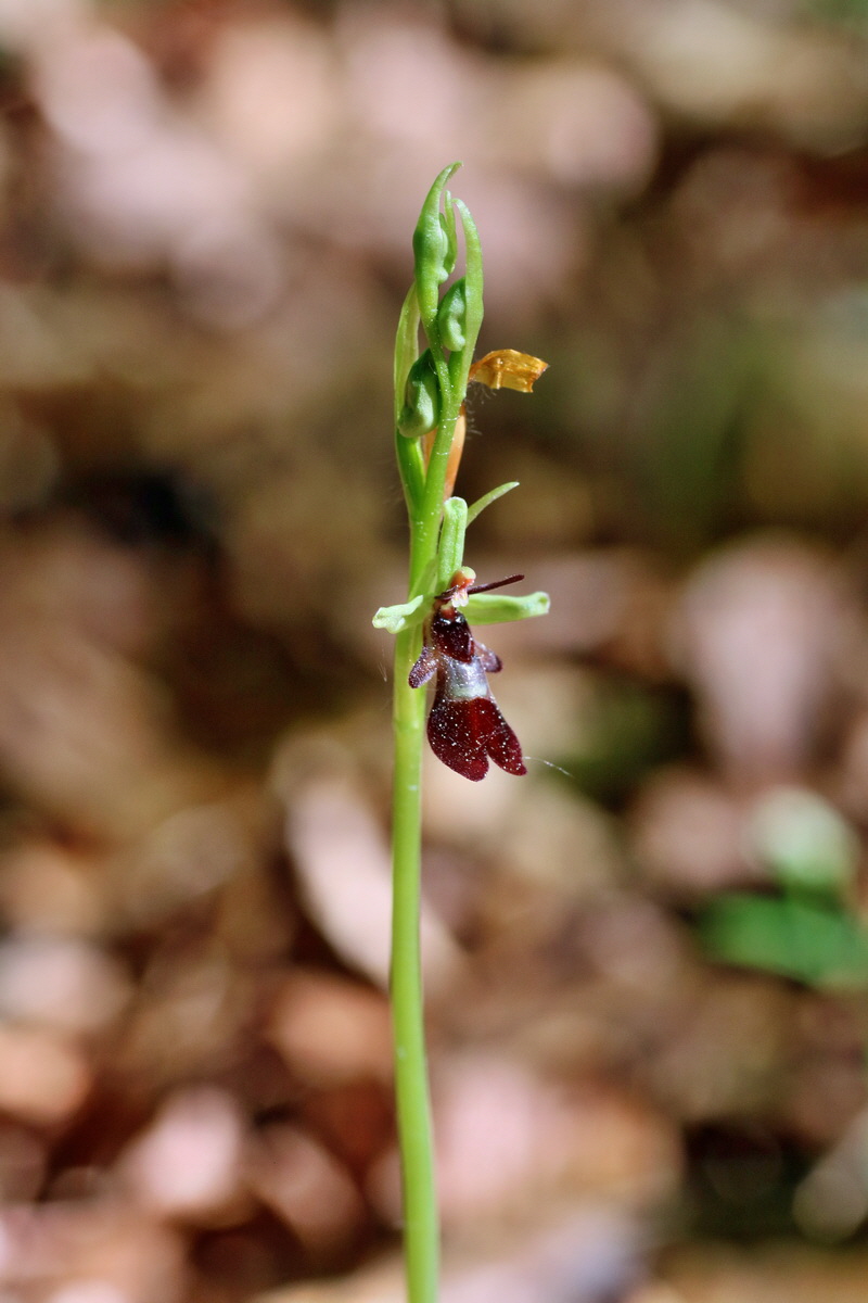 IMG-2016-05-10-00014799p_Bildgr��e �ndern