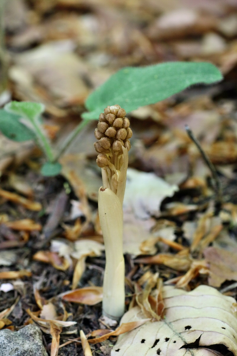 IMG-2016-05-10-00014805p_Bildgr��e �ndern