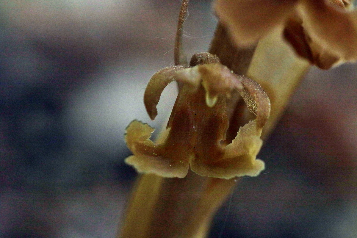 IMG-2016-05-10-00014824p_Bildgr��e �ndern