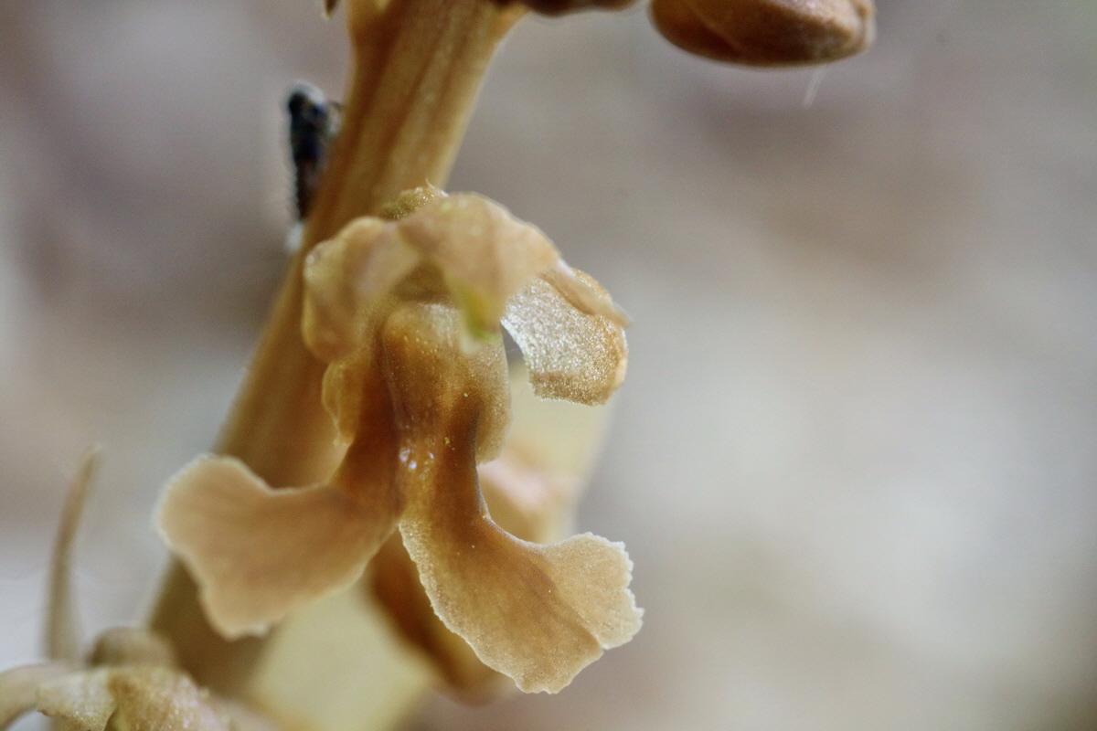 IMG-2016-05-10-00014831p_Bildgr��e �ndern