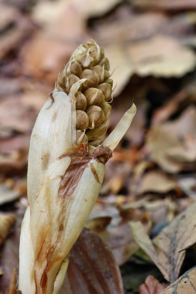 IMG-2016-05-10-00014838p_Bildgr��e �ndern