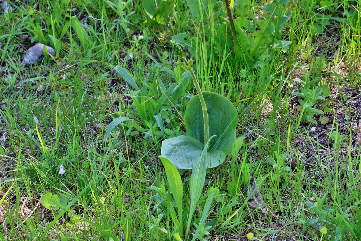 IMG-2016-05-10-00014842p_Bildgr��e �ndern