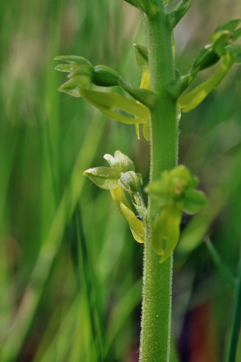 IMG-2016-05-10-00014843p_Bildgr��e �ndern