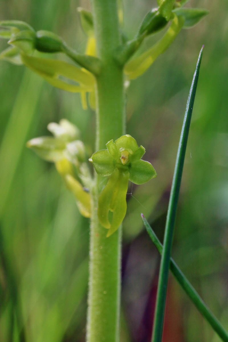 IMG-2016-05-10-00014846p_Bildgr��e �ndern