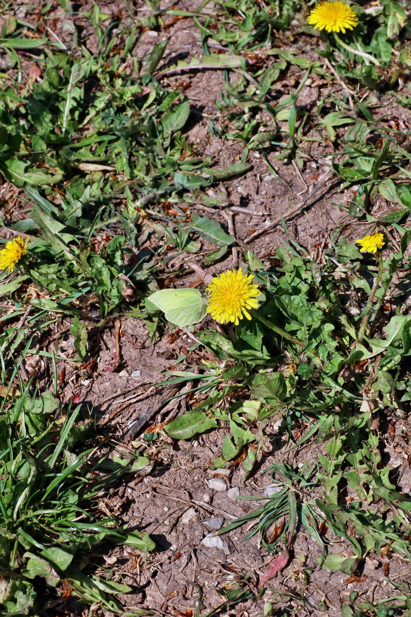 IMG-2016-05-10-00014850p_Bildgr��e �ndern