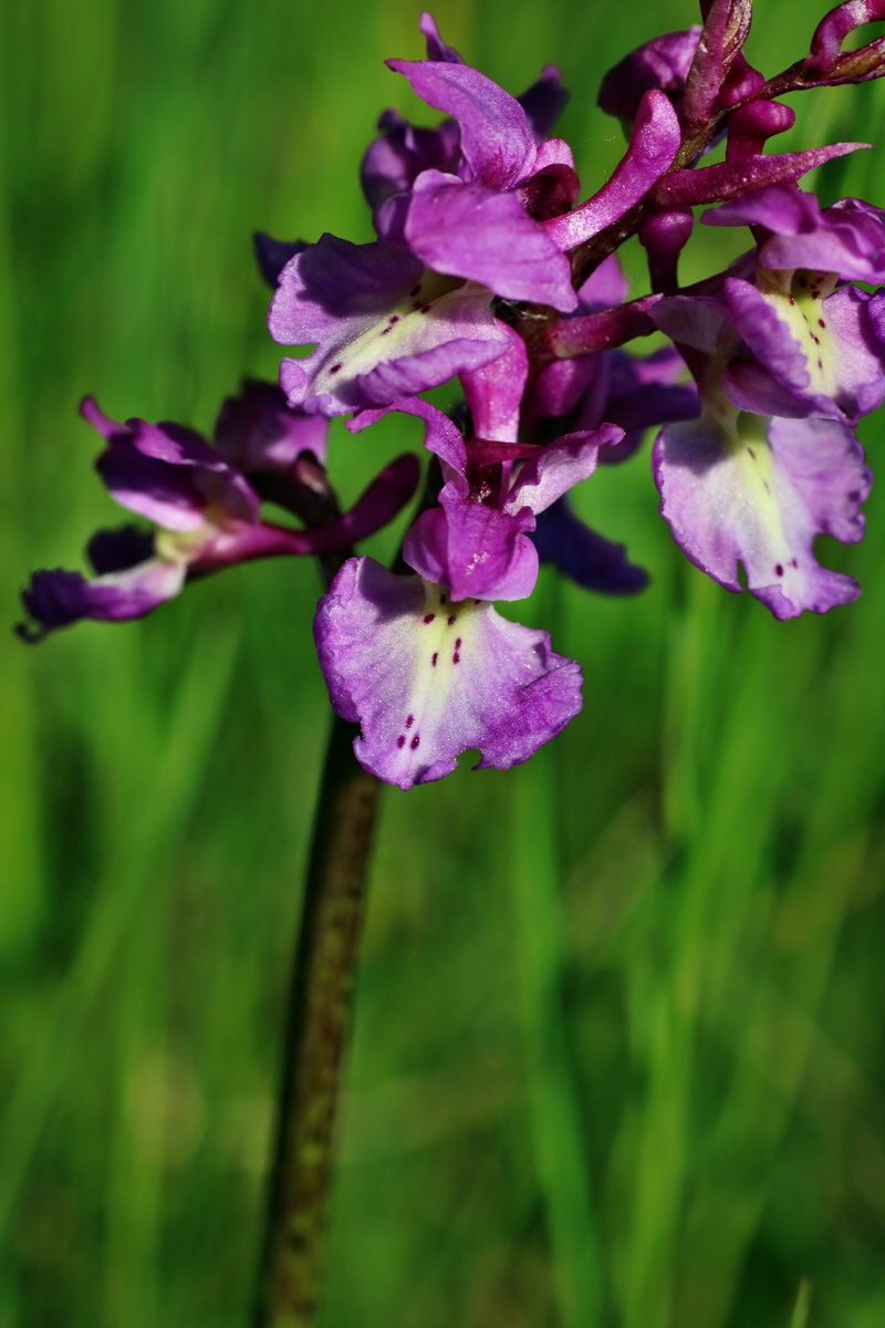 IMG-2016-05-11-00014907p_Bildgr��e �ndern