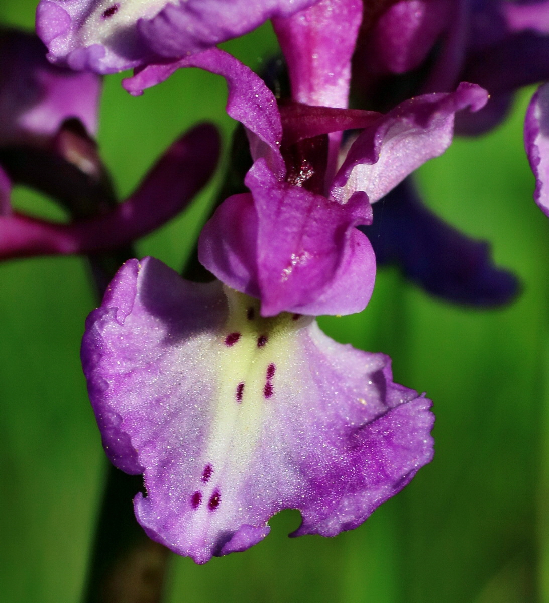 IMG-2016-05-11-00014907pa_Bildgr��e �ndern