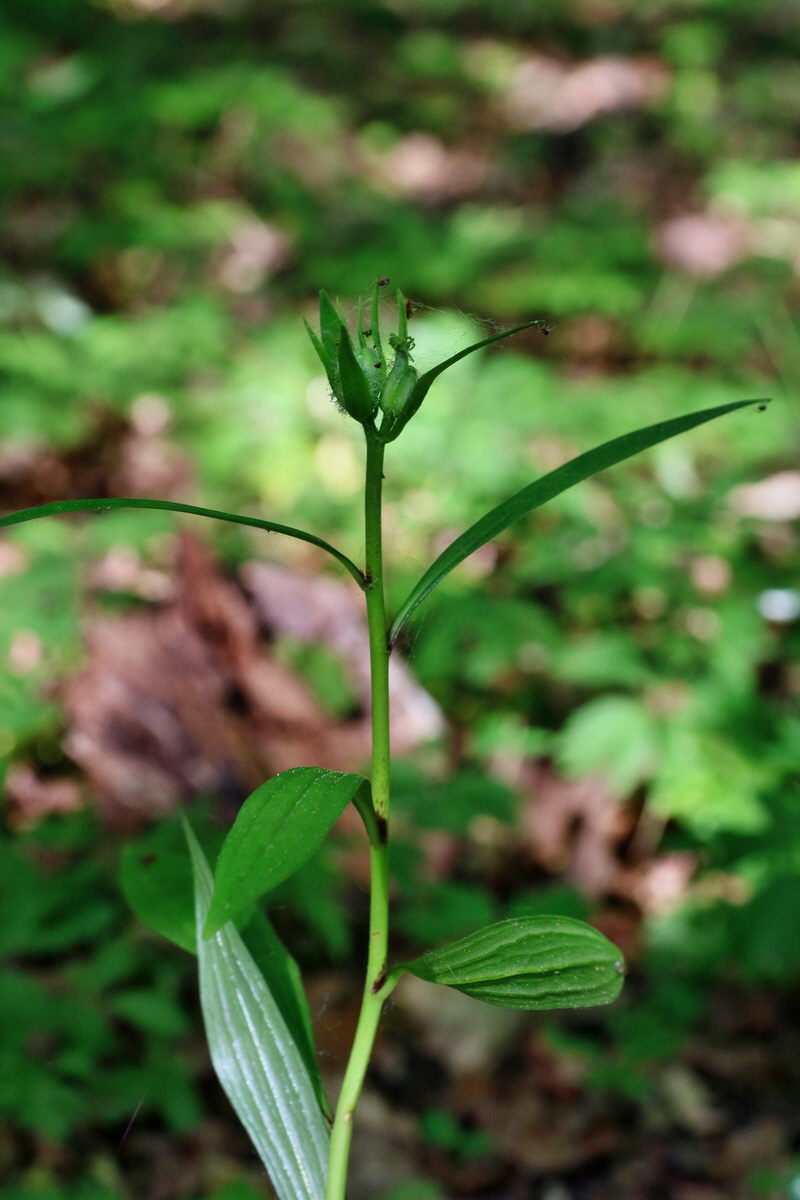 IMG-2016-05-11-00014918p_Bildgr��e �ndern