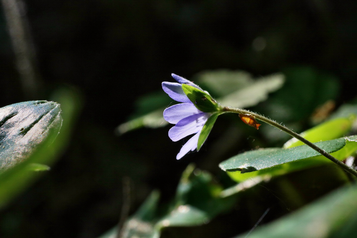 IMG-2016-05-11-00014926p_Bildgr��e �ndern