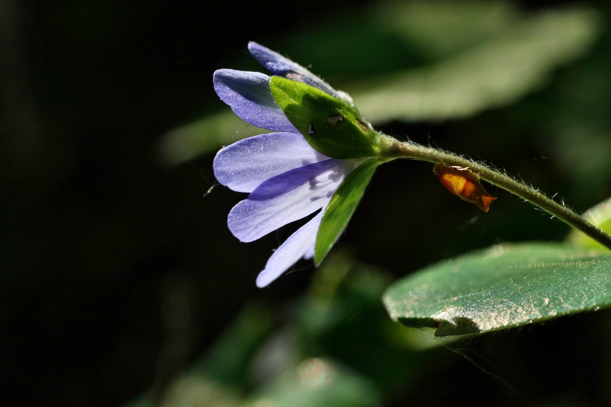 IMG-2016-05-11-00014930p_Bildgr��e �ndern