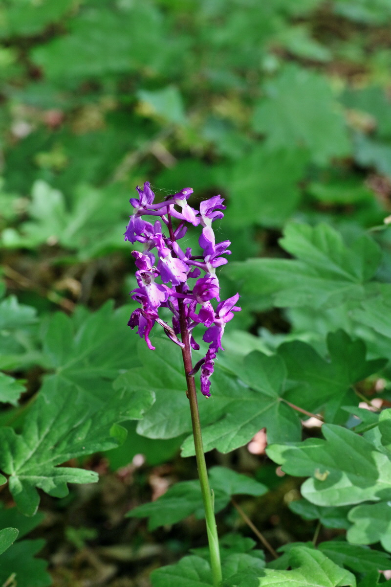 IMG-2016-05-11-00014944p_Bildgr��e �ndern