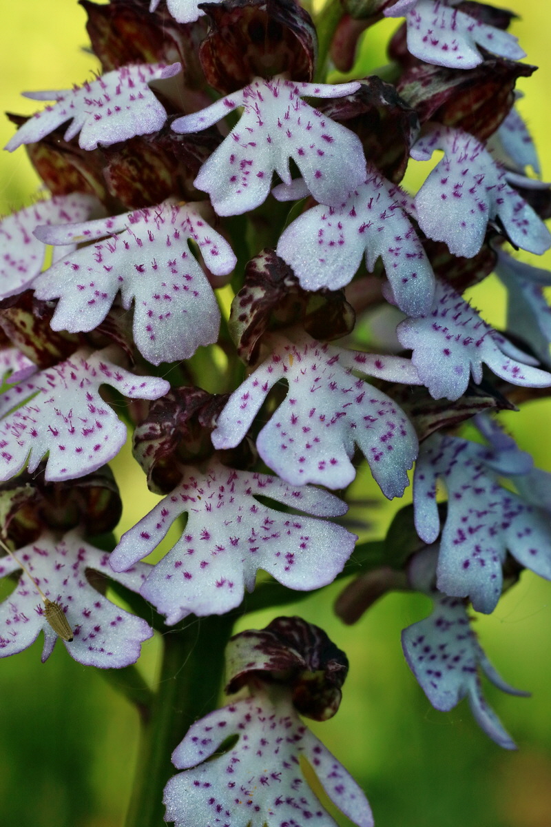 IMG-2016-05-11-00014951p_Bildgr��e �ndern