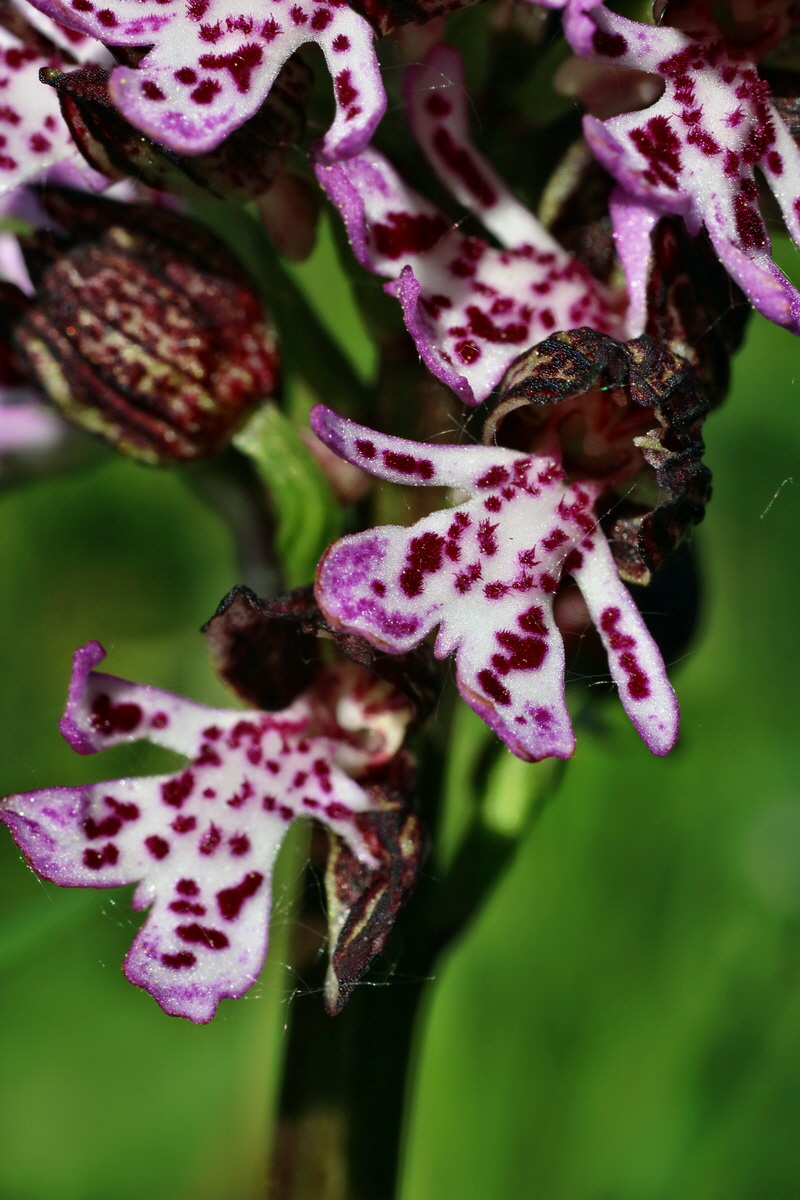 IMG-2016-05-11-00014954p_Bildgr��e �ndern