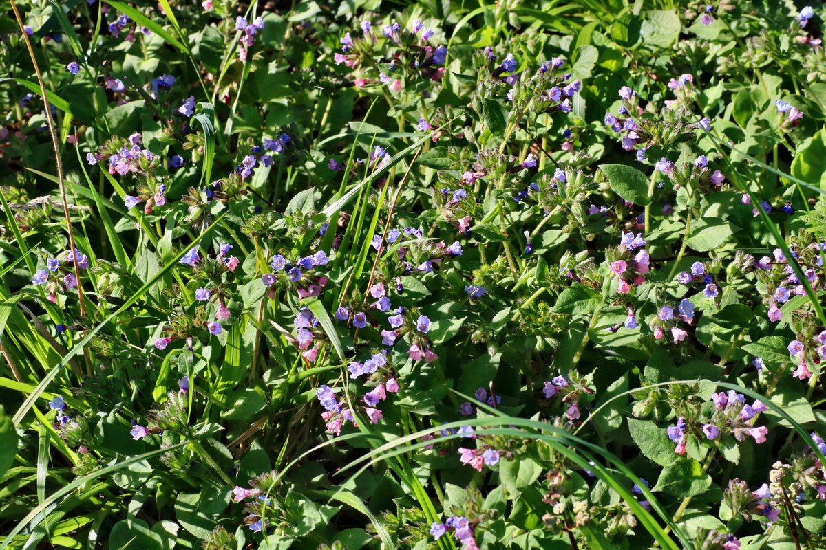 IMG-2016-05-11-00014965p_Bildgr��e �ndern