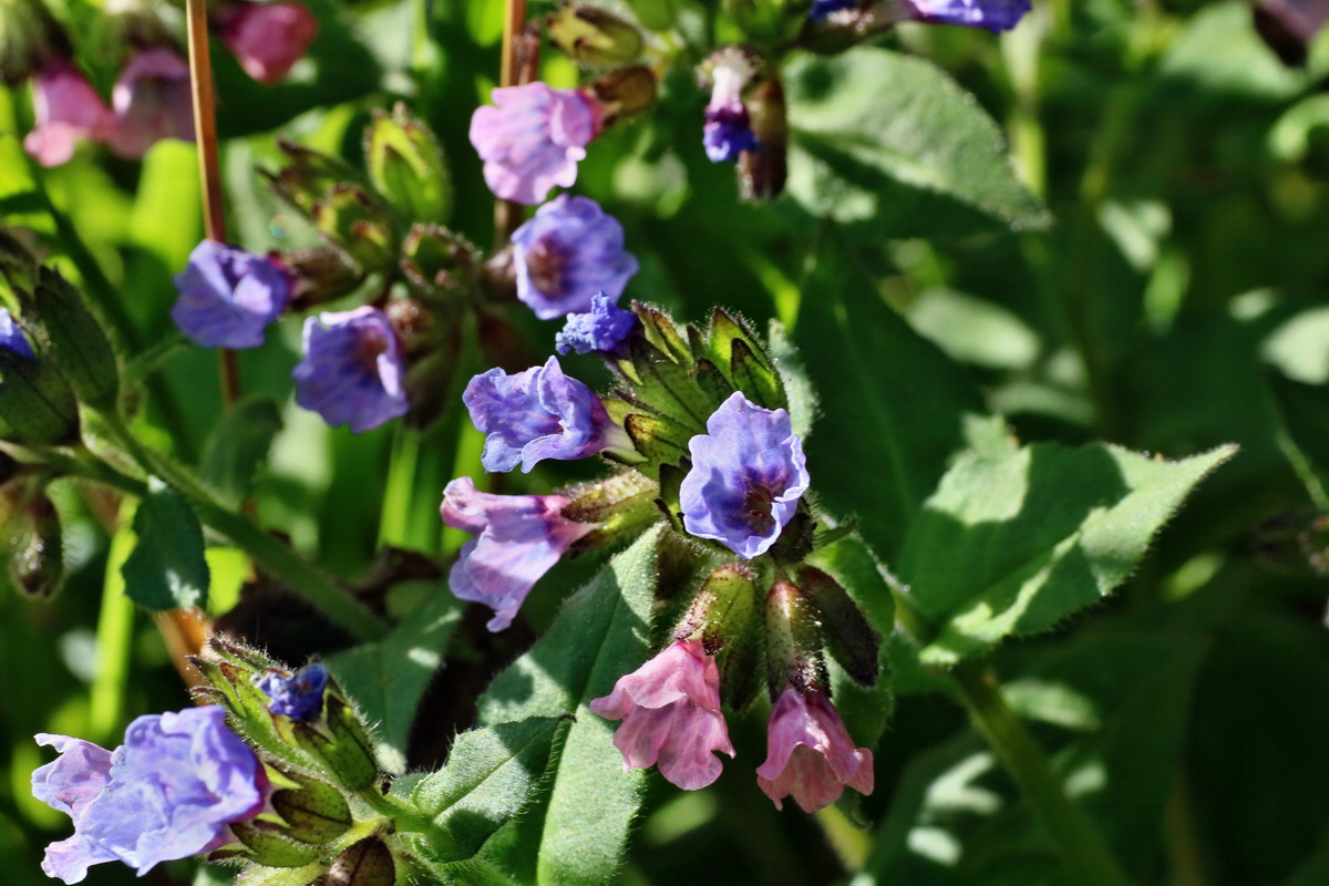 IMG-2016-05-11-00014969p_Bildgr��e �ndern