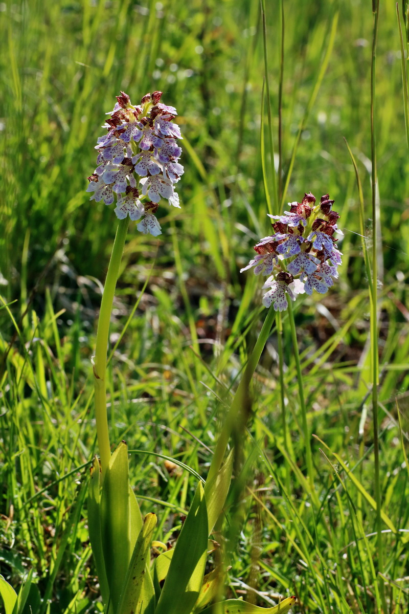 IMG-2016-05-11-00014980p_Bildgr��e �ndern