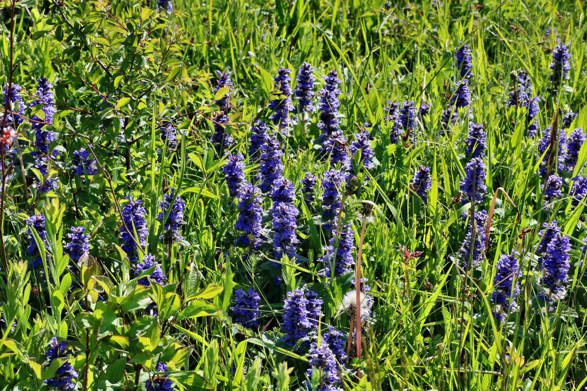 IMG-2016-05-11-00014992p_Bildgr��e �ndern