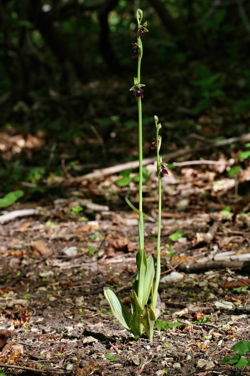 IMG-2016-05-11-00015001p_Bildgr��e �ndern