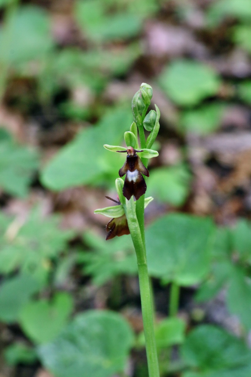 IMG-2016-05-11-00015011p_Bildgr��e �ndern