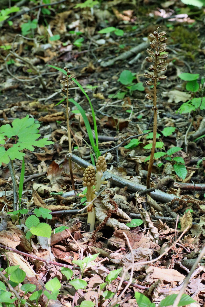 IMG-2016-05-11-00015027p_Bildgr��e �ndern