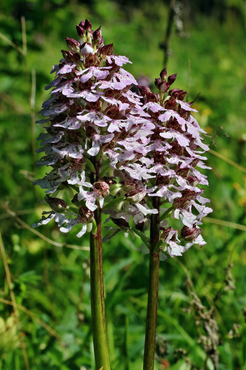 IMG-2016-05-11-00015034p_Bildgr��e �ndern