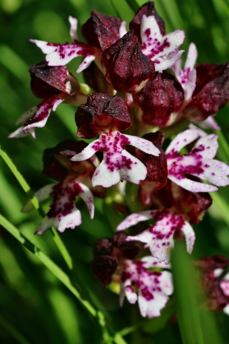 IMG-2016-05-11-00015039p_Bildgr��e �ndern