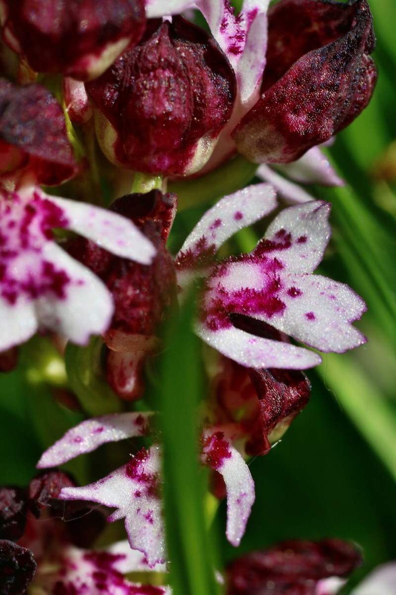 IMG-2016-05-11-00015041p_Bildgr��e �ndern