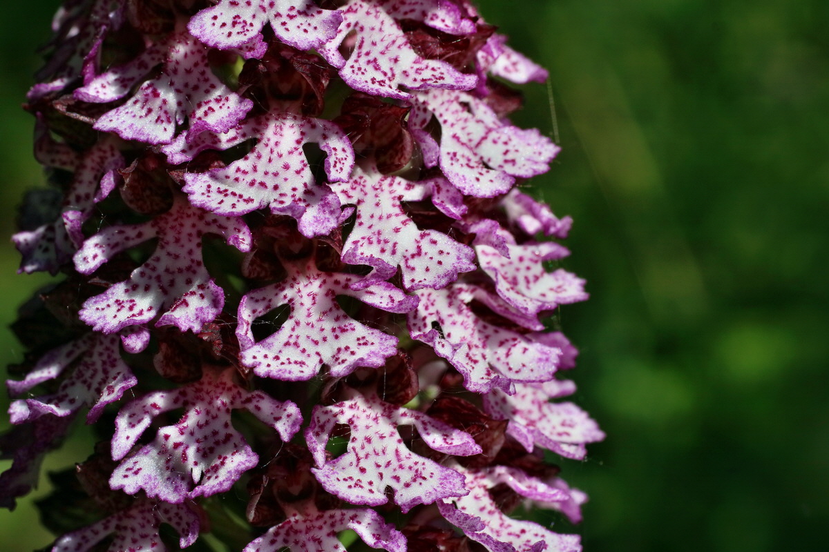 IMG-2016-05-11-00015047p_Bildgr��e �ndern