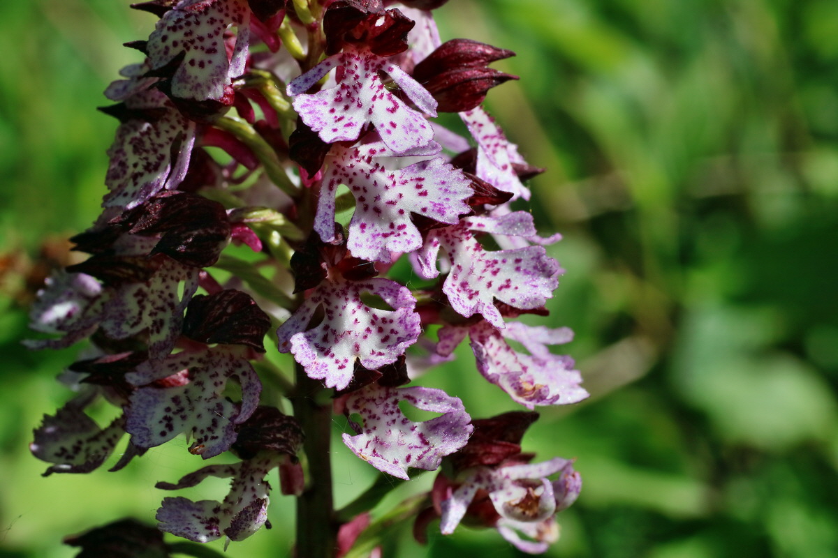 IMG-2016-05-11-00015050p_Bildgr��e �ndern